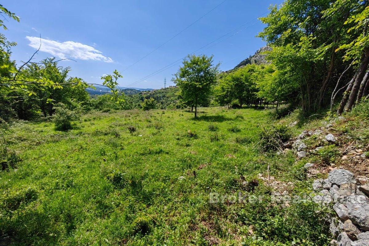 Terreno edificabile