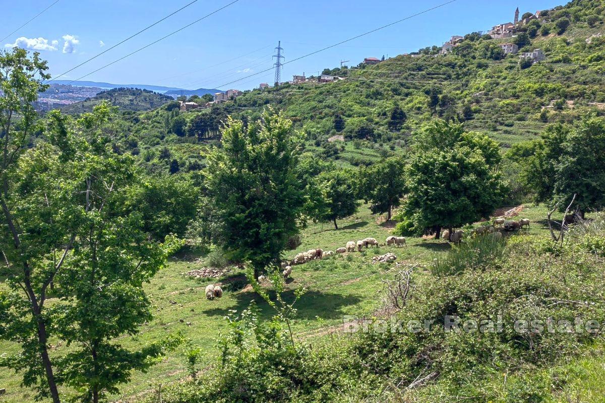 Terreno edificabile