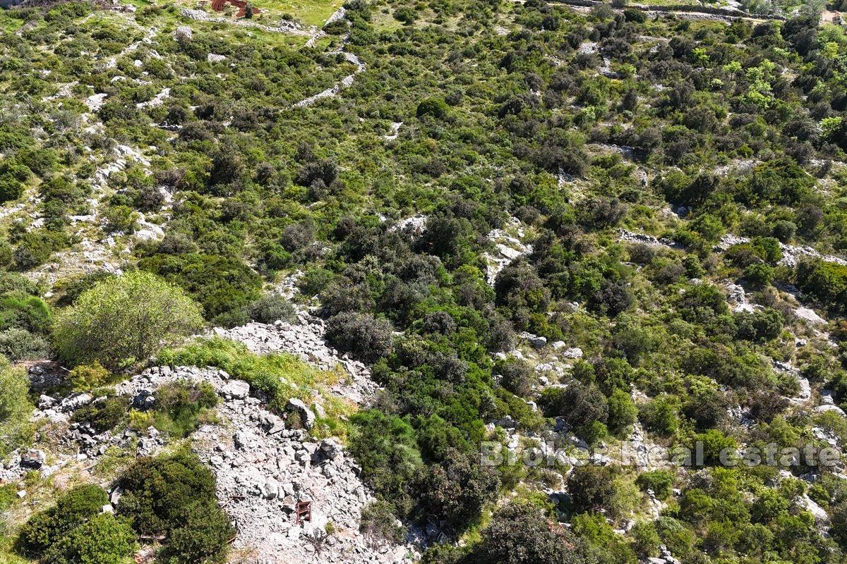 Terreno edificabile con vista mare