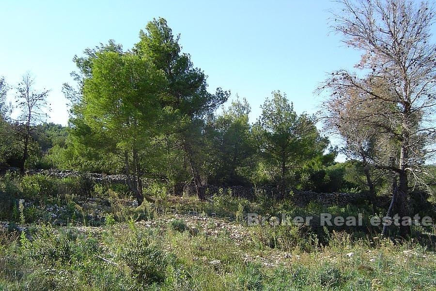 Terreno edificabile vicino al mare