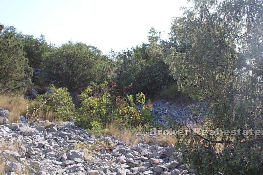 Terreno edificabile vicino al mare