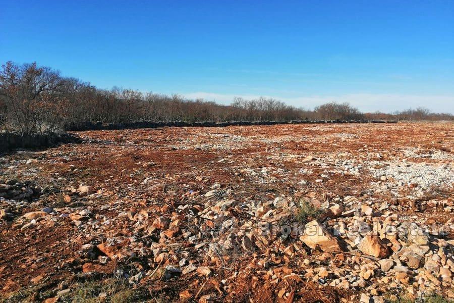 Plot in the Dalmatian hinterland