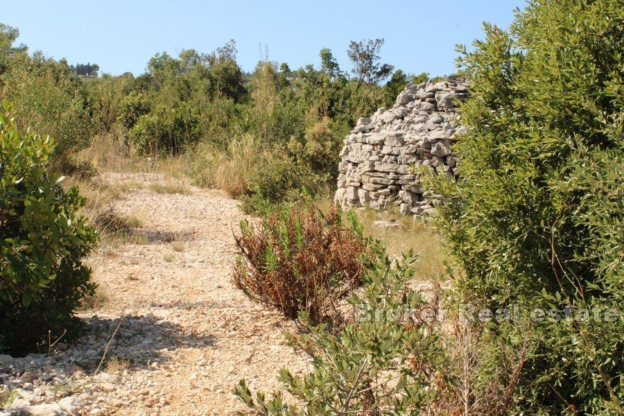 Terreno edificabile con vista mare