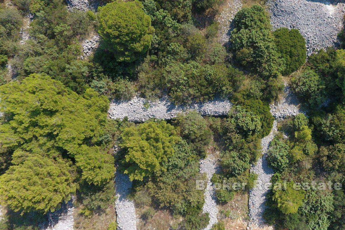 Grande terreno edificabile vicino al mare