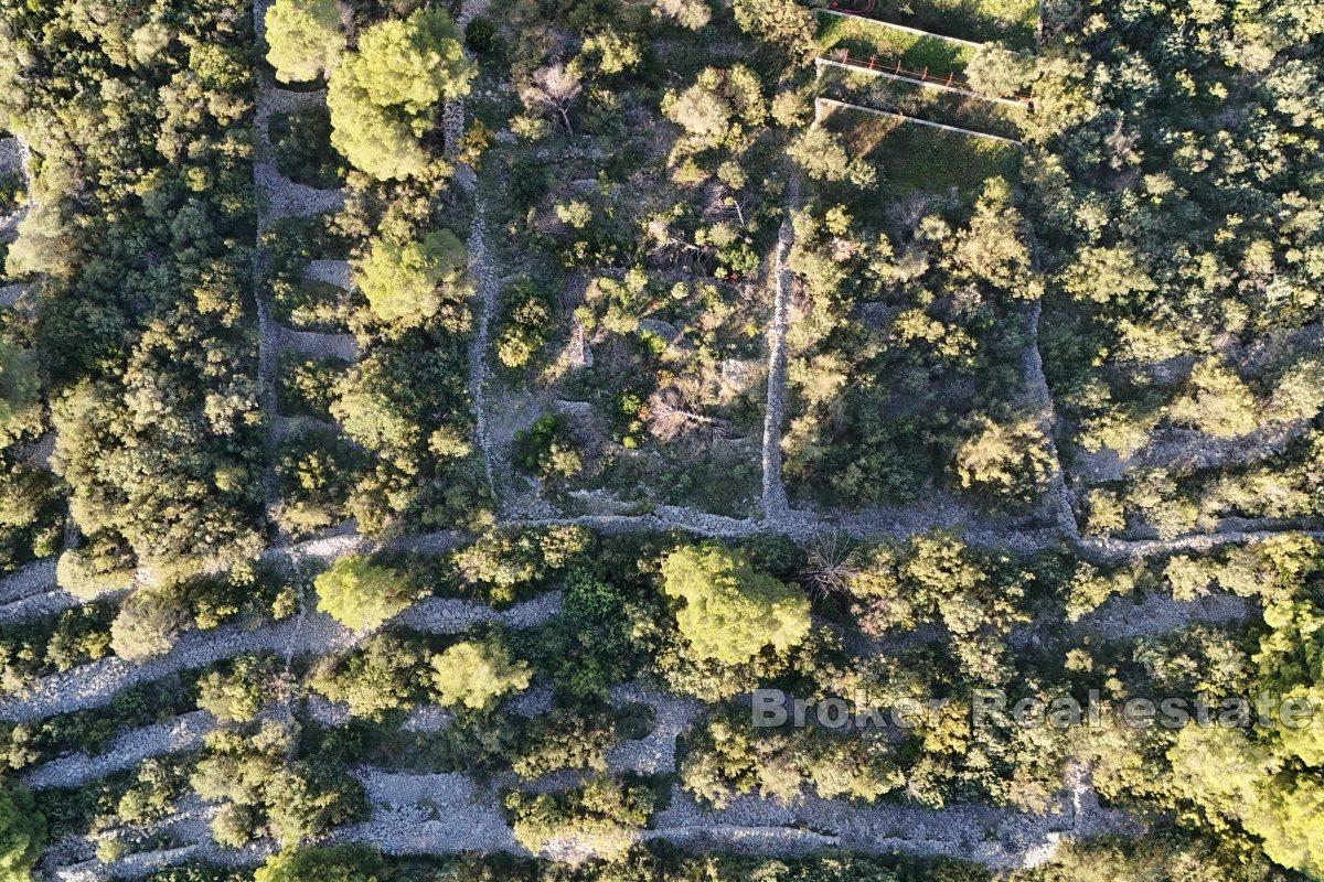 Ampio terreno edificabile vicino al mare