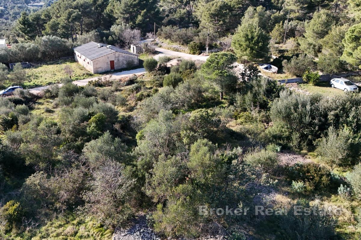 Ampio terreno edificabile vicino al mare