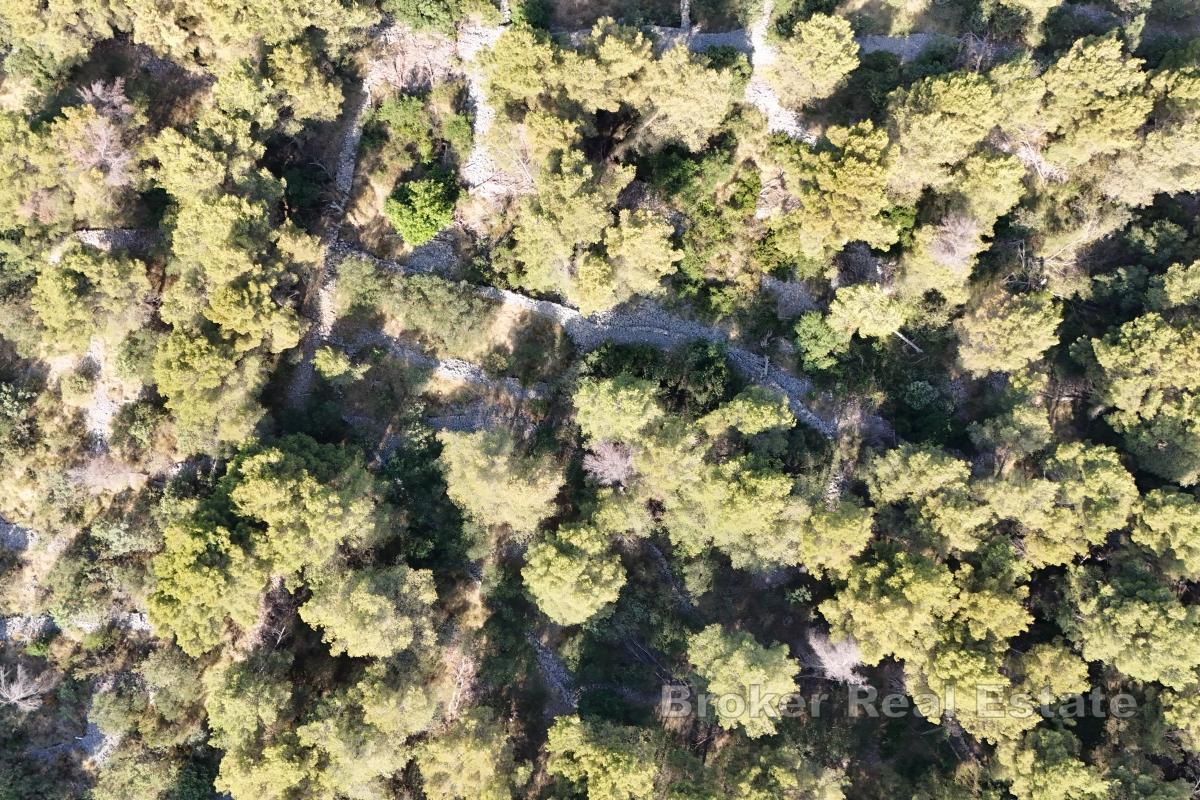 Terreno edificabile di forma regolare