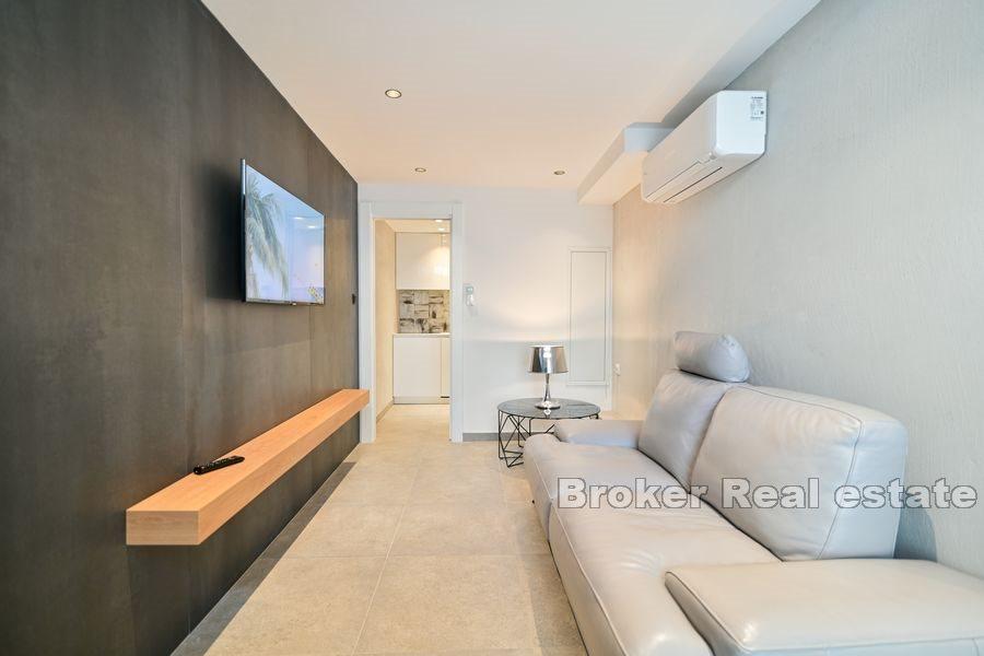 Spacious apartment with three units