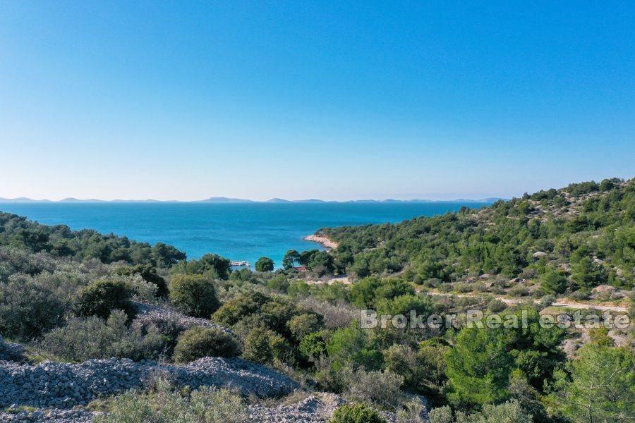 Terrain constructible dans une baie calme