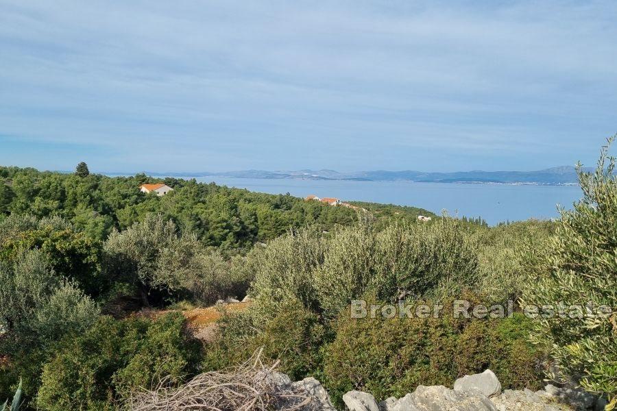 Terrain constructible proche de la mer