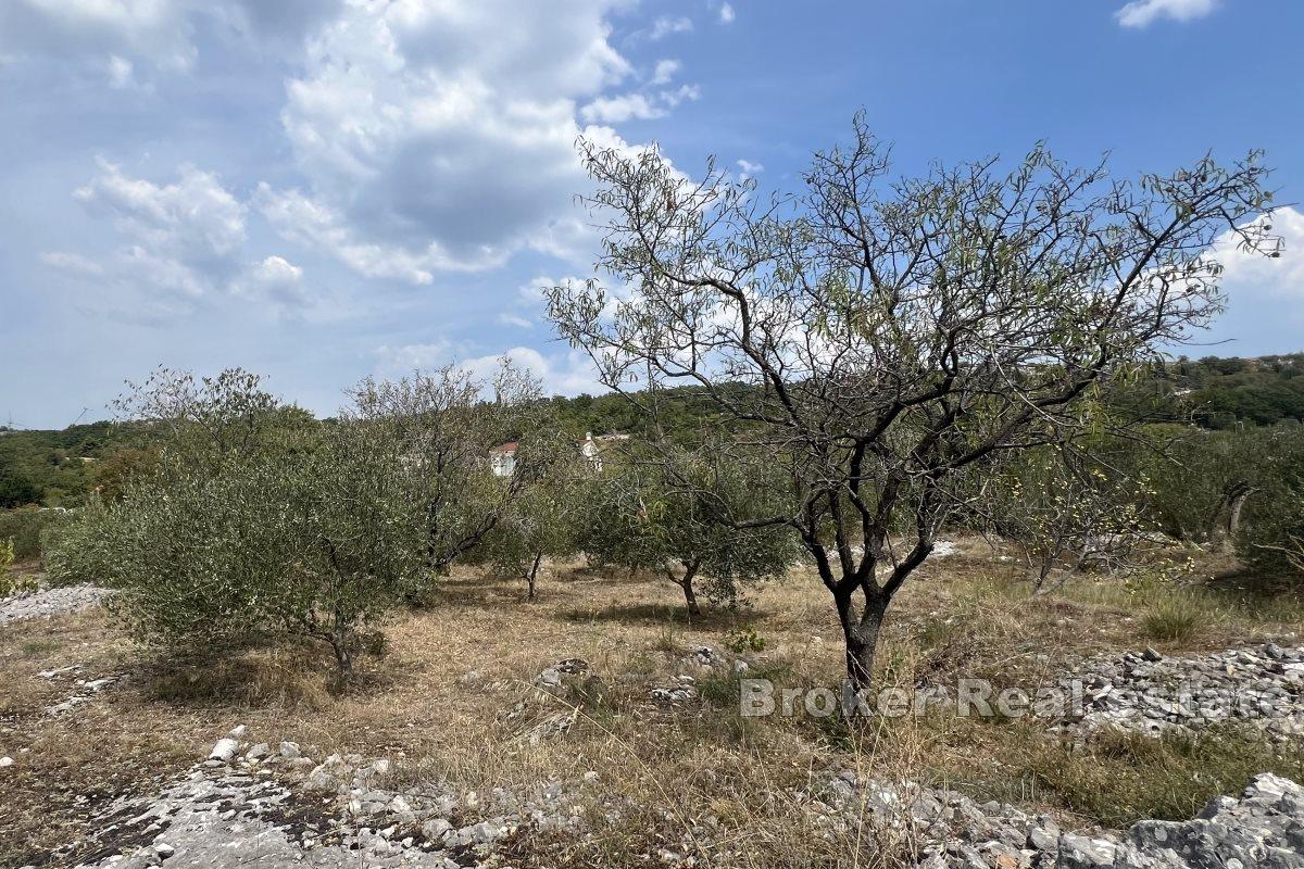Terreno edificabile unico con possibilità di pagamenti rateali