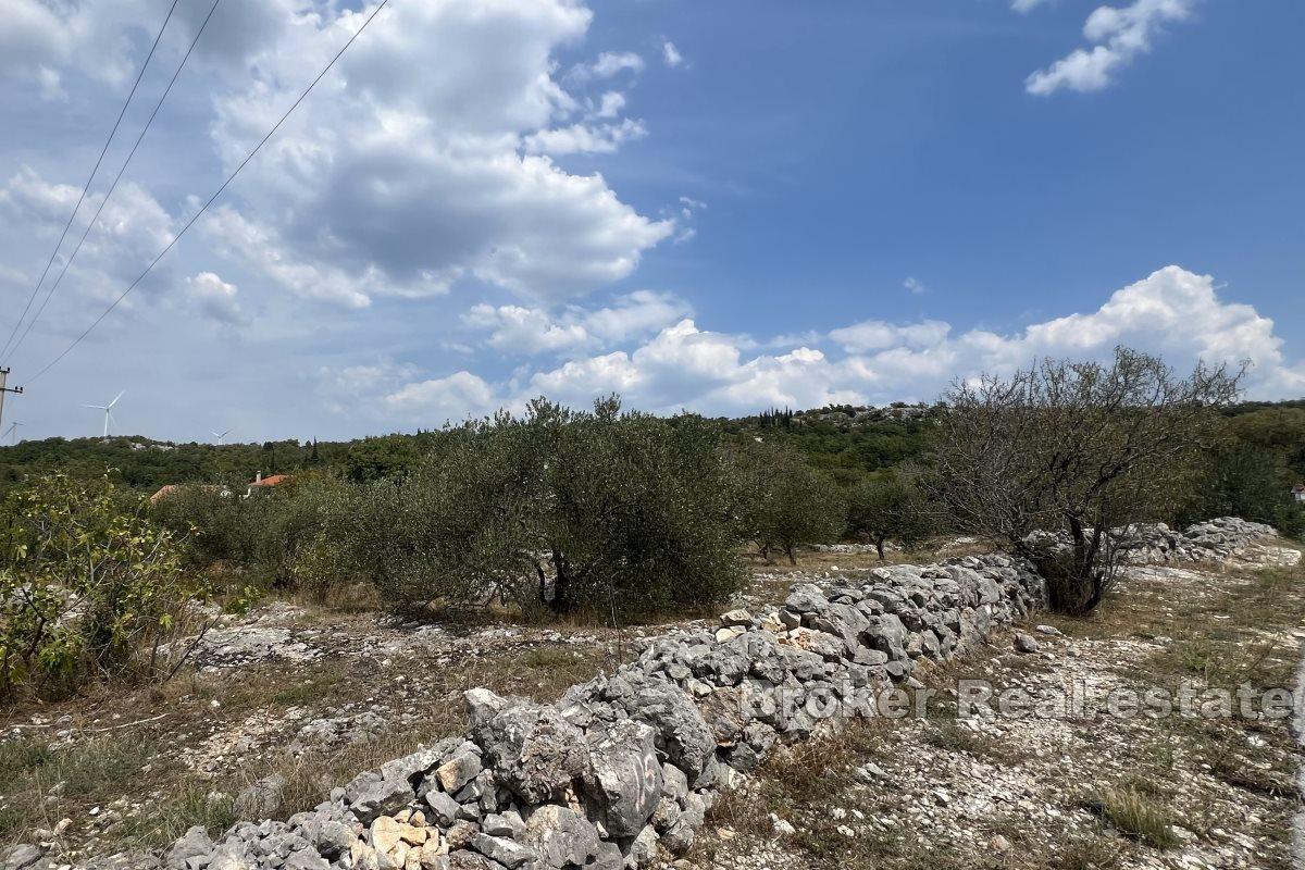 Terreno edificabile unico con possibilità di pagamenti rateali