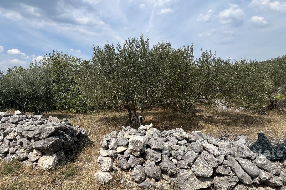 Terreno edificabile unico con possibilità di pagamenti rateali