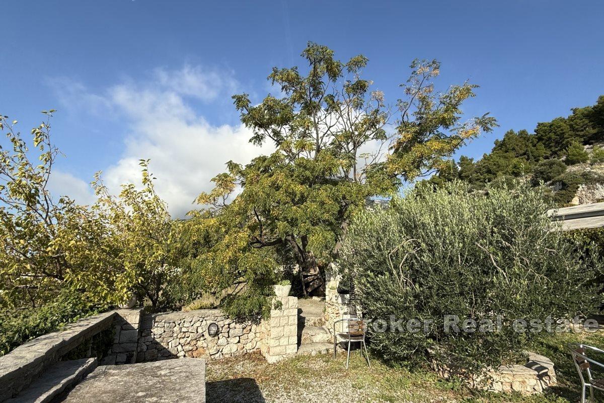 Magnifique terrain agricole spacieux avec une petite propriété
