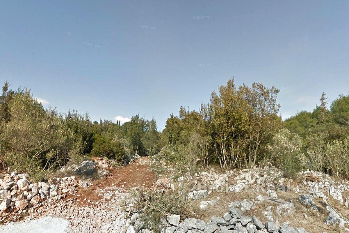 Exclusive land with a project near the sea