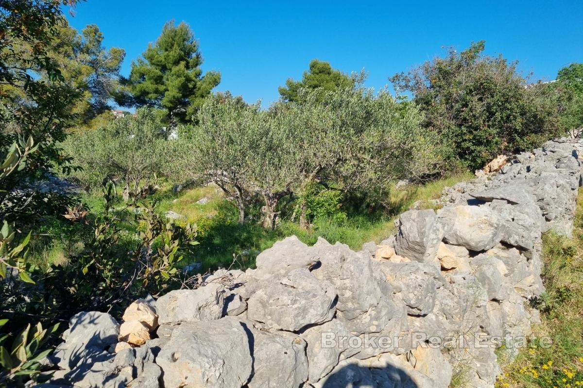 Ampio terreno edificabile vicino alla costa adriatica