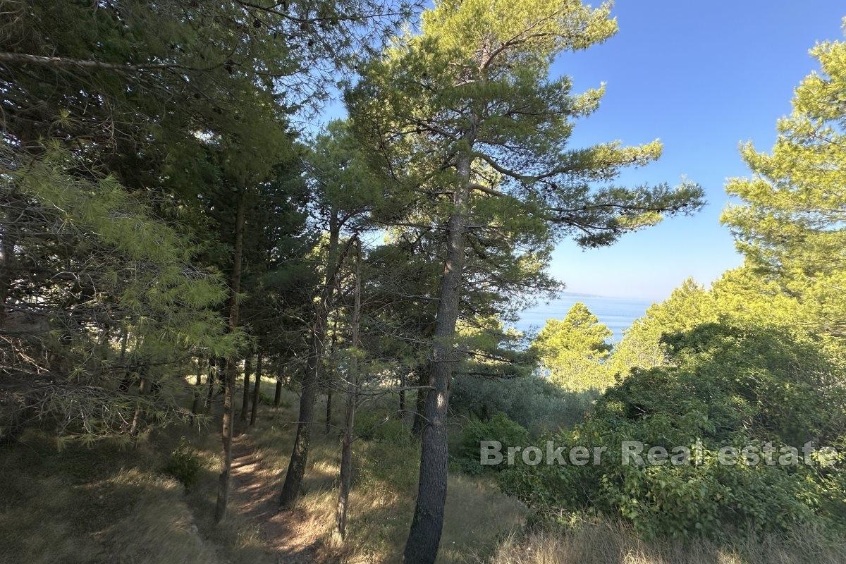 Building plot in a prestigious location