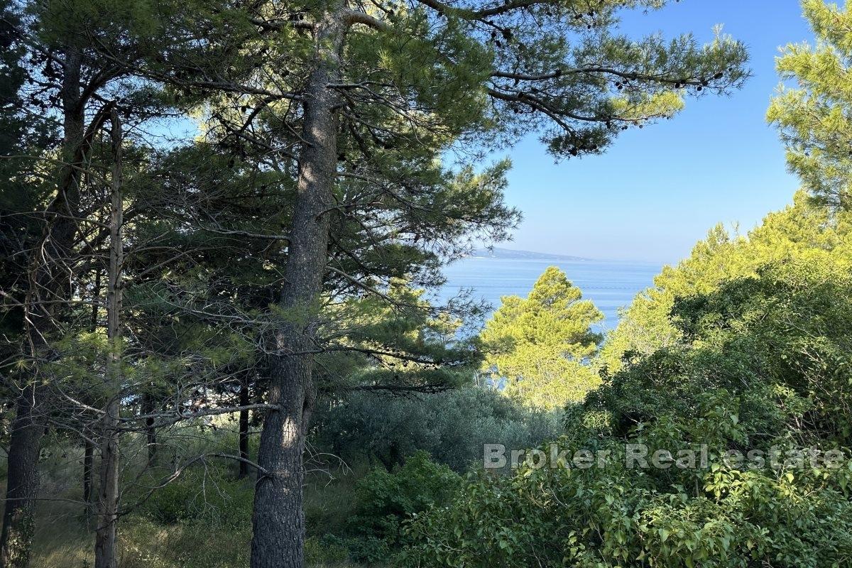 Building plot in a prestigious location