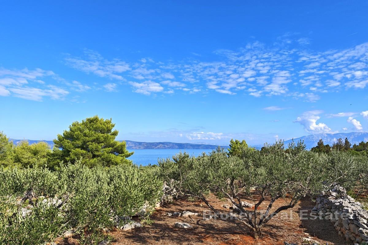 Terrain agricole en bord de mer - côté nord de Hvar
