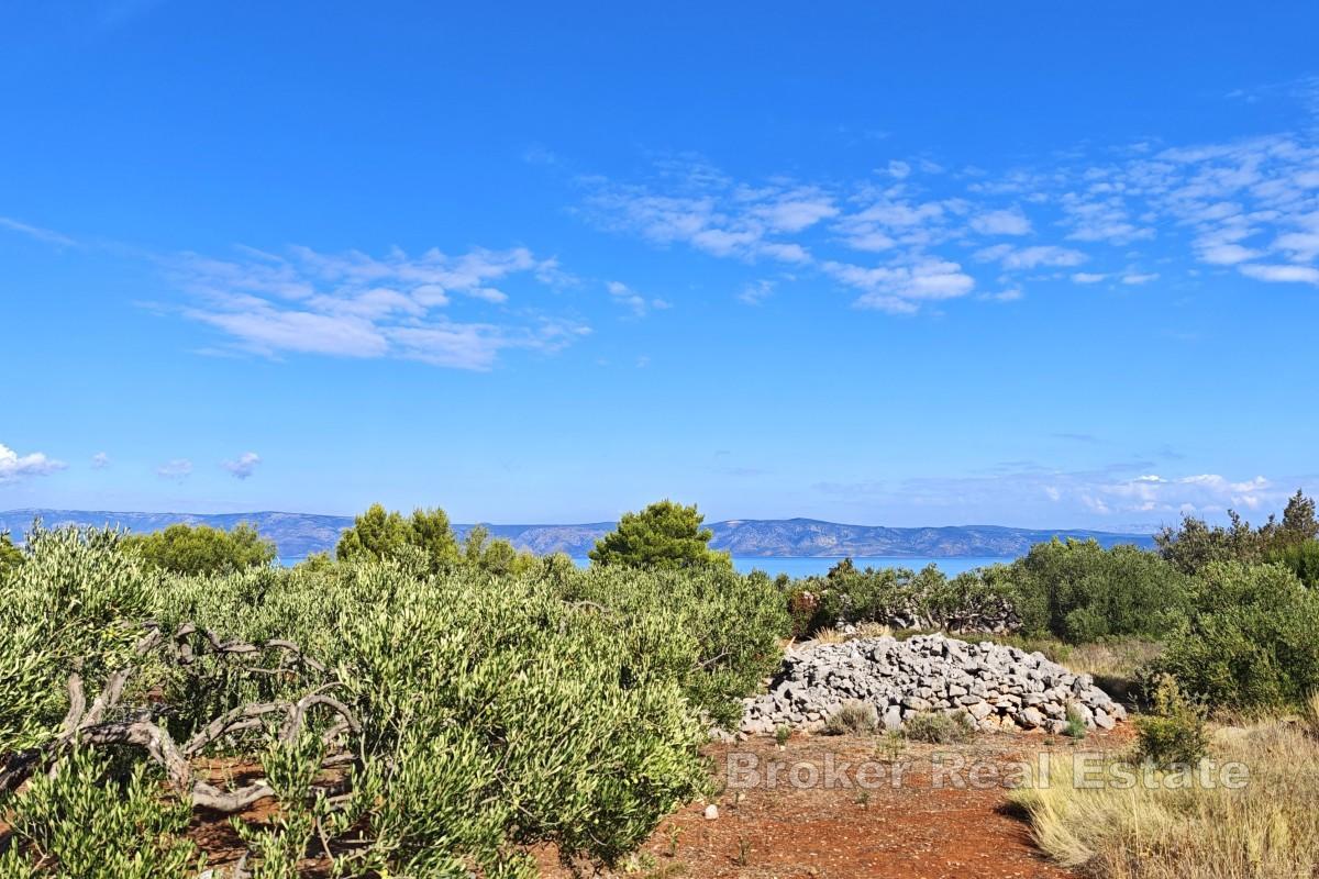 Terrain agricole en bord de mer - côté nord de Hvar
