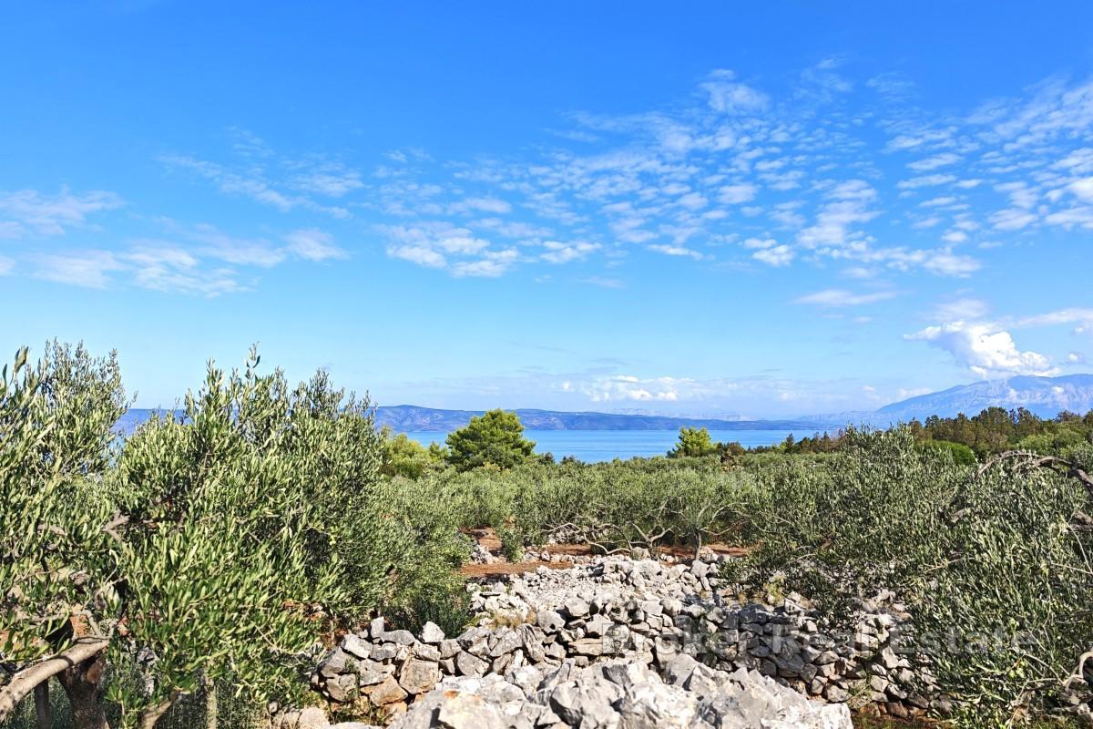 Terrain agricole en bord de mer - côté nord de Hvar