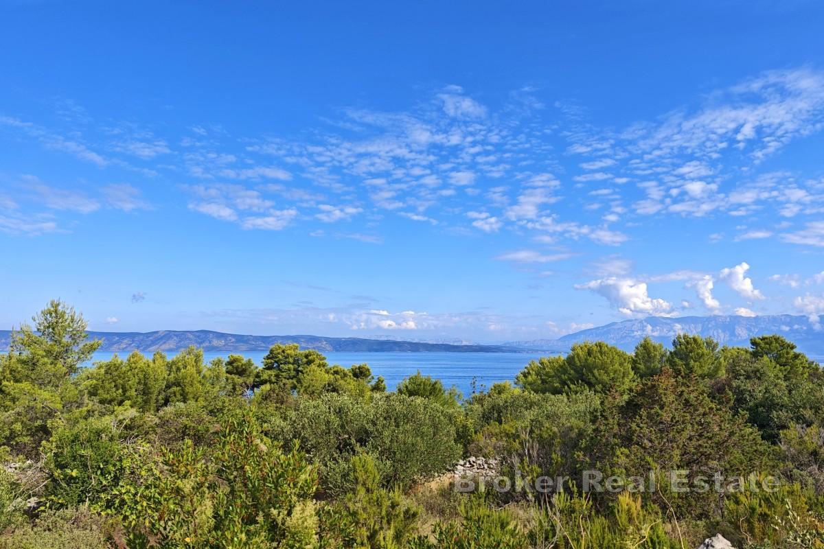 Terrain agricole en bord de mer - côté nord de Hvar