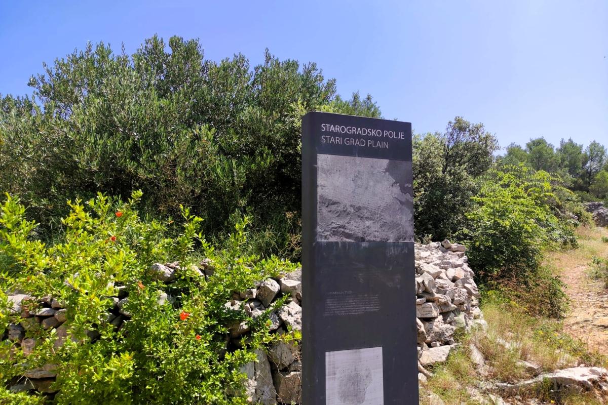 001-2051-63-Hvar-Agricultural-land-for-sale