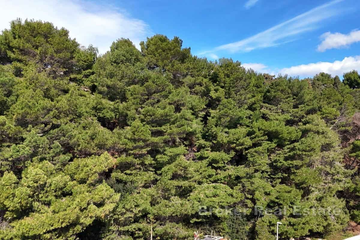 Terreno edificabile in riva al mare
