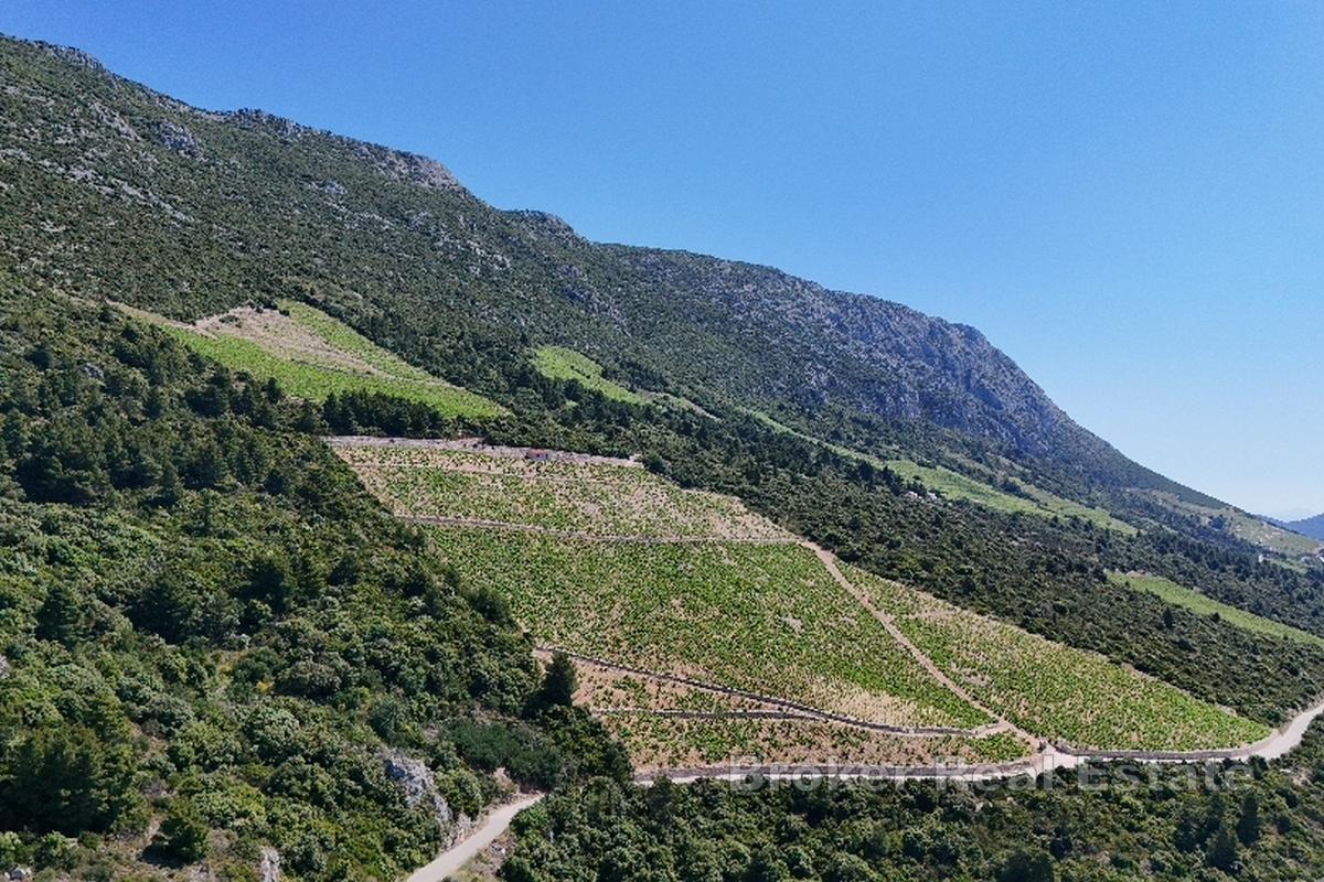 Terrain exposé au sud