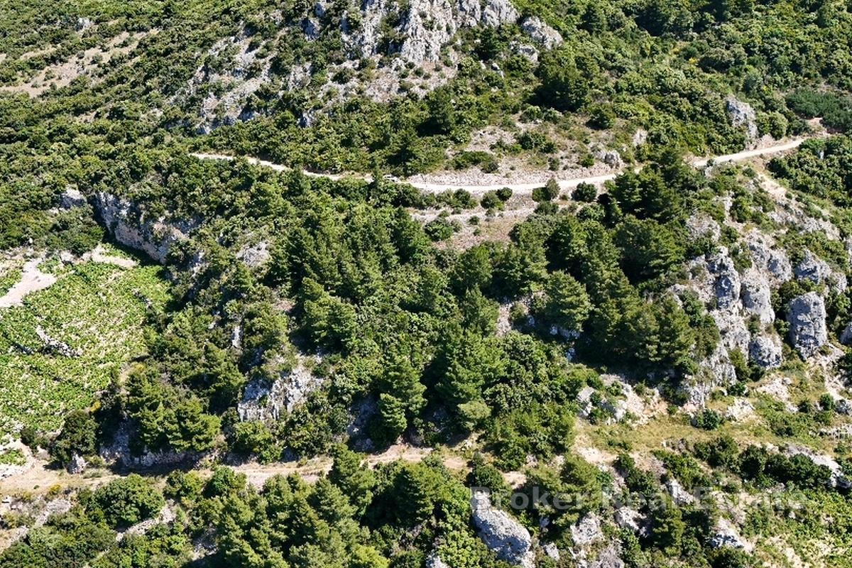 Terrain exposé au sud