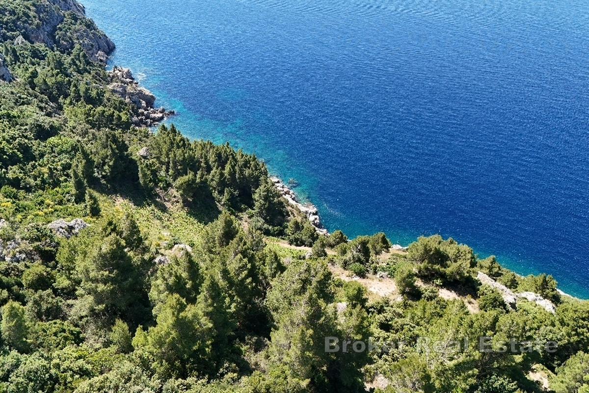 Terrain exposé au sud