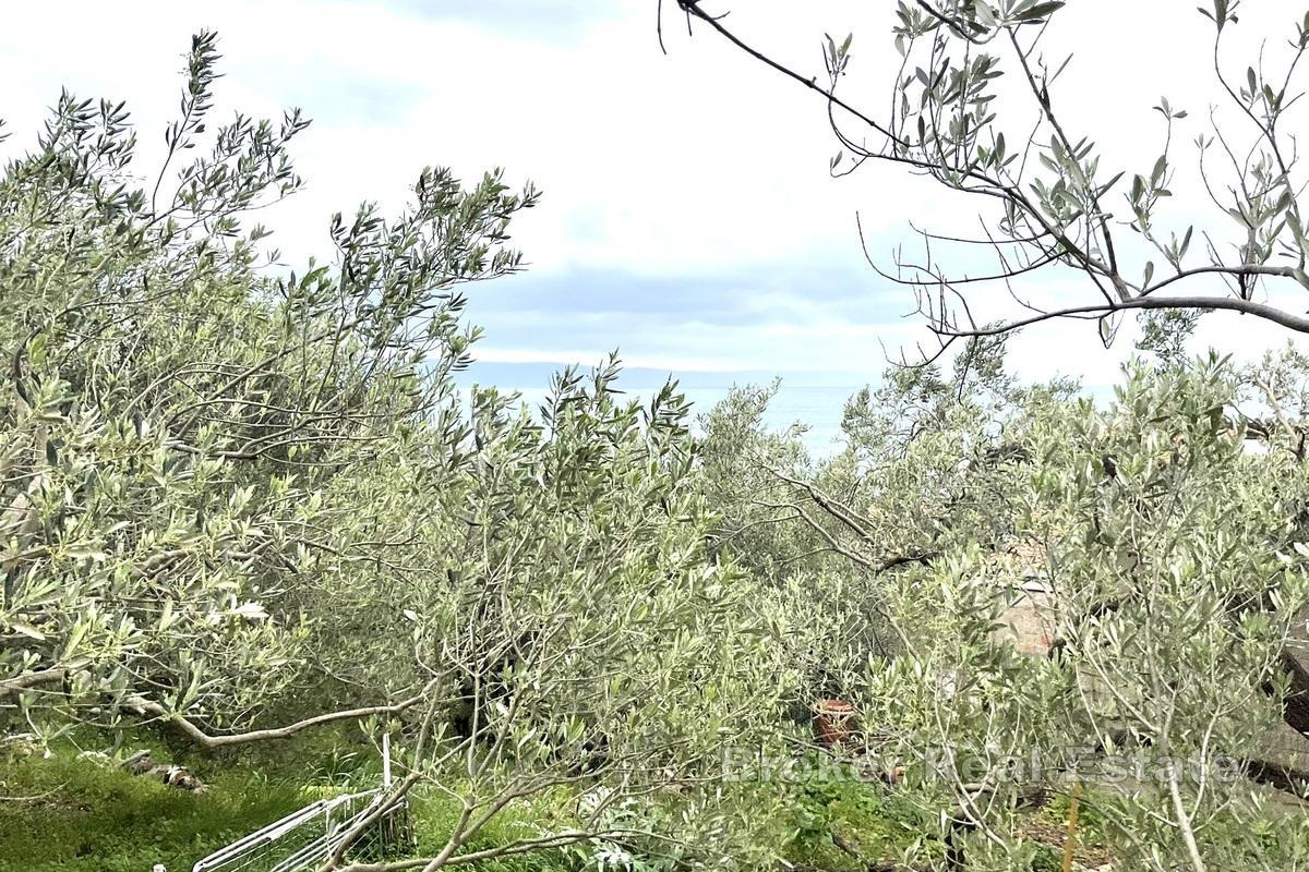 Terreno edificabile con vista mare