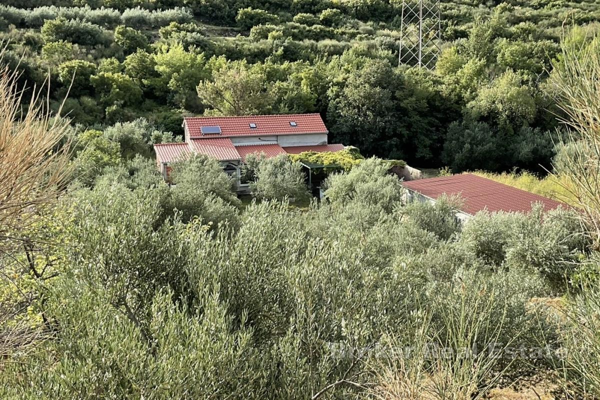 Authentisches Steinhaus inmitten der Natur