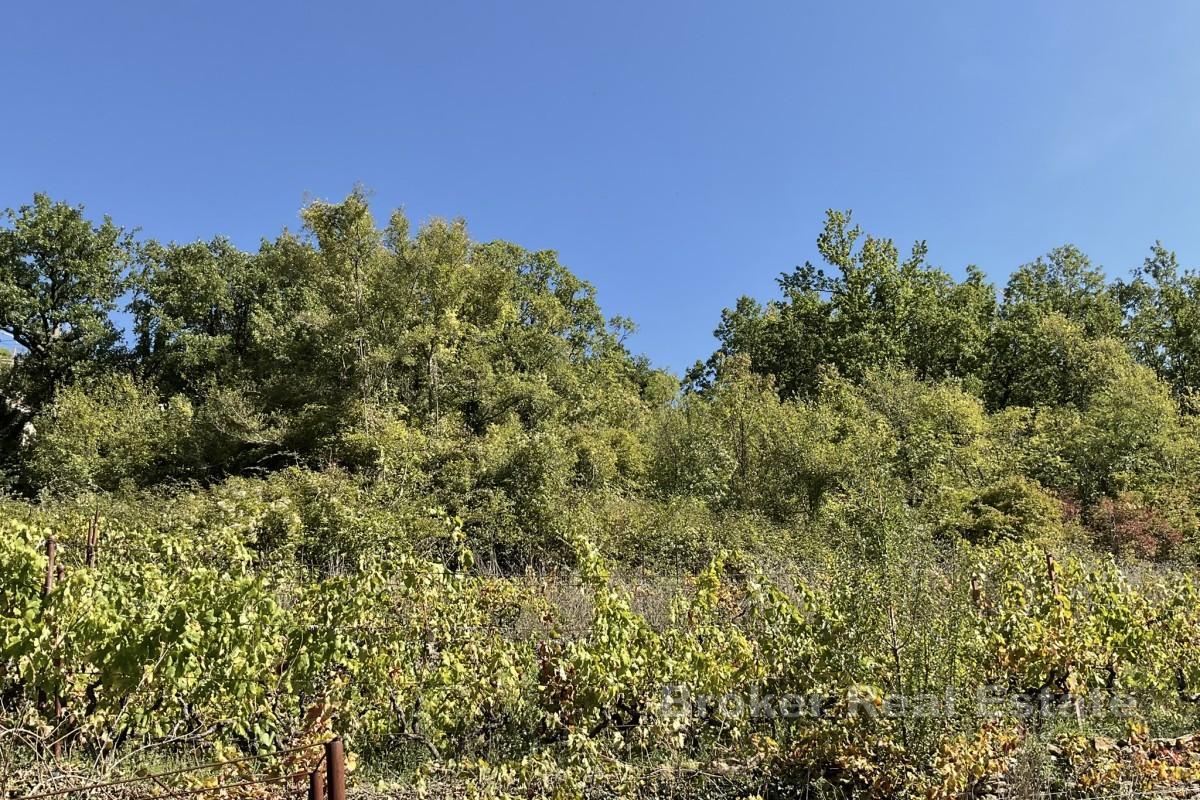 Terreno edificabile nell'entroterra dalmata
