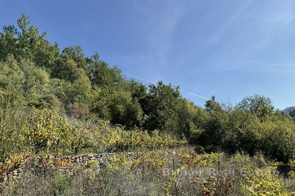 Terreno edificabile nell'entroterra dalmata