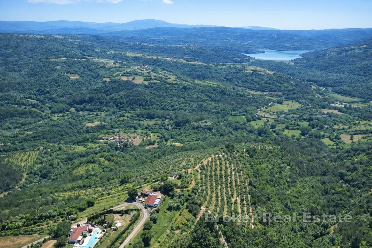 Ampia tenuta istriana con oliveti e terreno edificabile vicino a Motovun