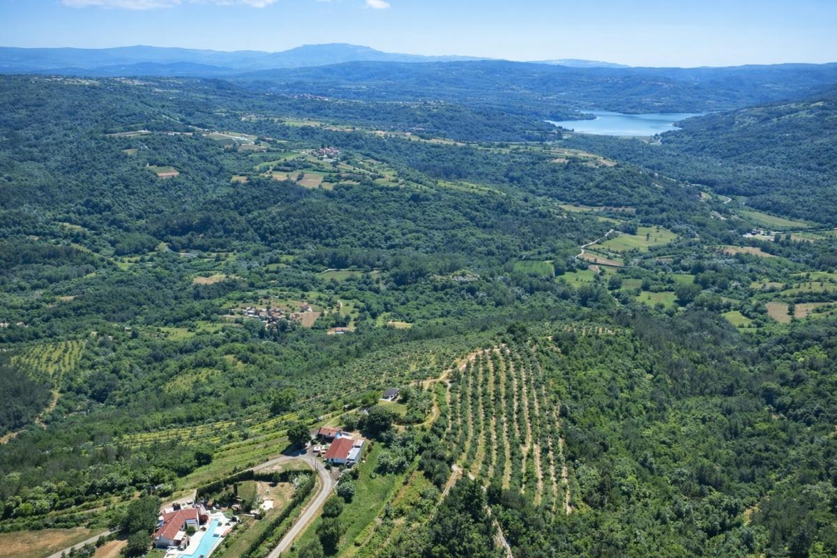 Ampia tenuta istriana con oliveti e terreno edificabile vicino a Motovun