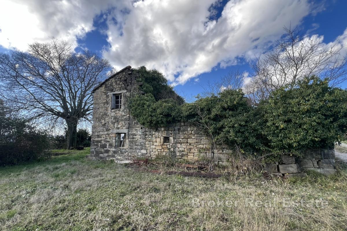 Ampia tenuta istriana con oliveti e terreno edificabile vicino a Motovun