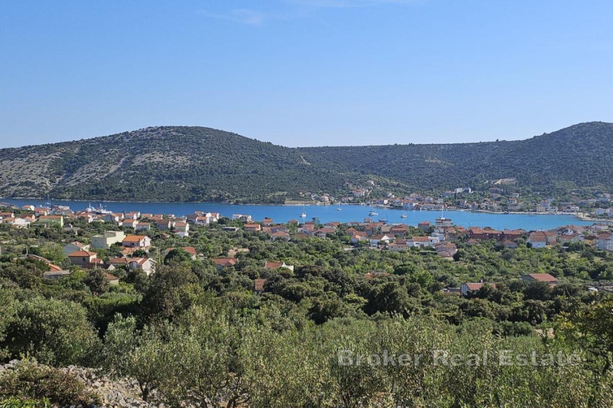 Terreno rettangolare di uliveto con vista mare
