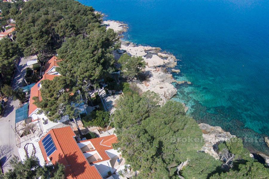 Appartement d'une chambre dans la première rangée de la mer
