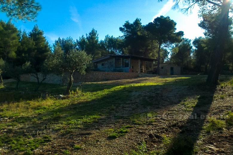 Kultivert jordbruksmark med to steinhus, til salgs