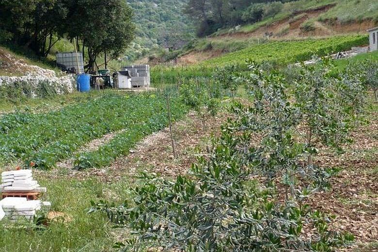Maison sur terrain agricole dans la baie attractive, à vendre