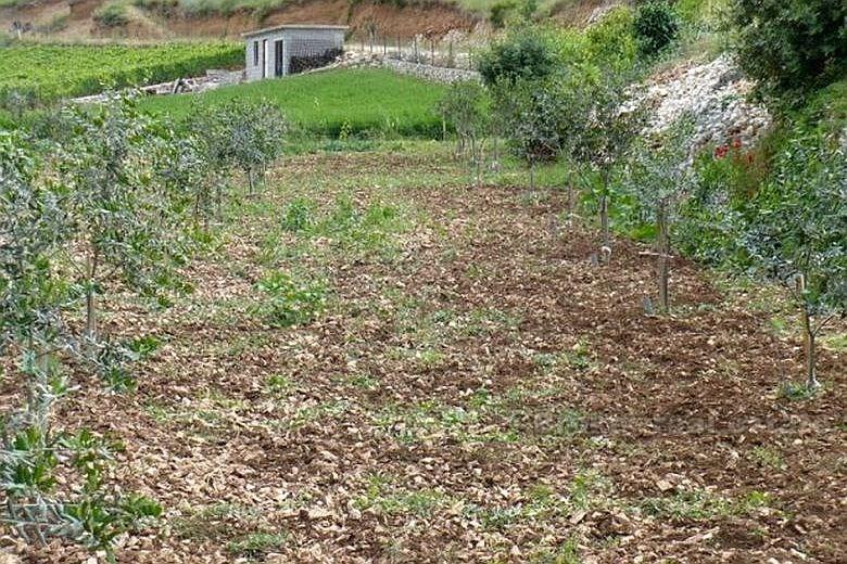Maison sur terrain agricole dans la baie attractive, à vendre