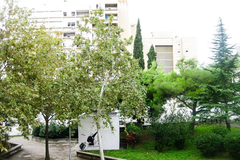 Appartamento in un quartiere tranquillo