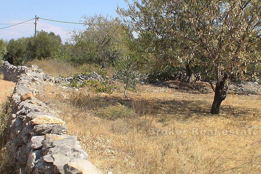 Terreno edificabile con la rovina, in vendita