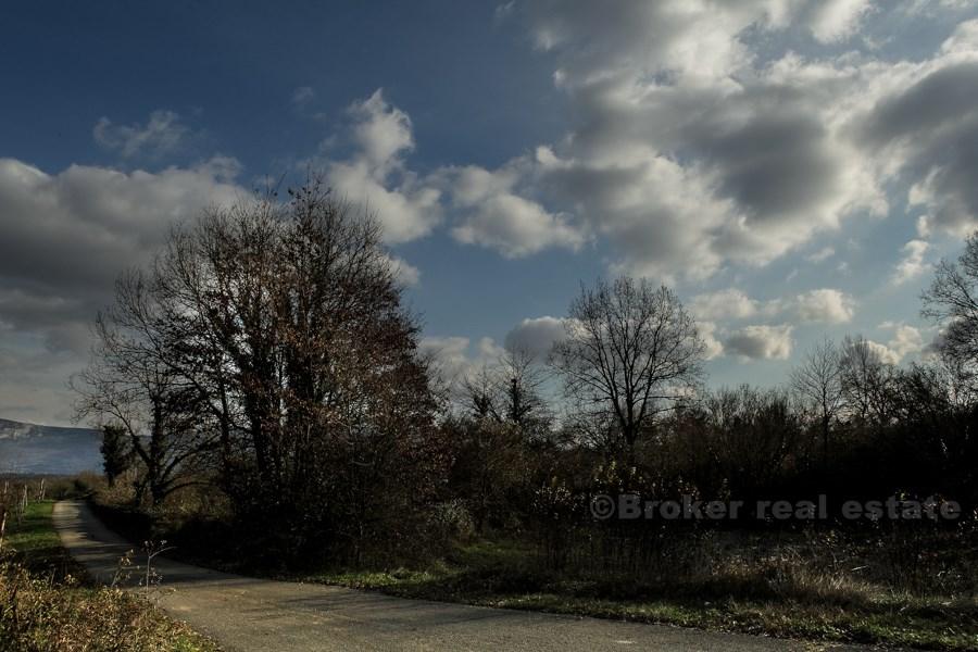 Terreno edificabile di 13.861 m2, in vendita