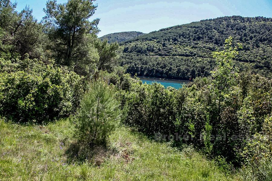 Terrain constructible, première rangée de la mer