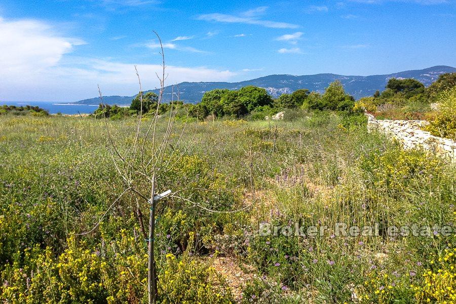 Terrain agricole, première rangée de la mer