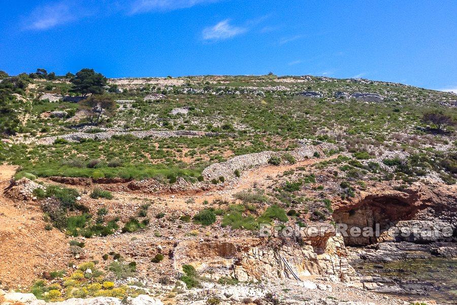 Terrain agricole, première rangée de la mer