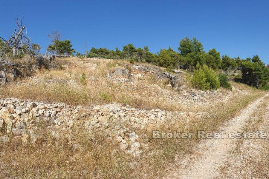 Terreno agricolo in riva al mare